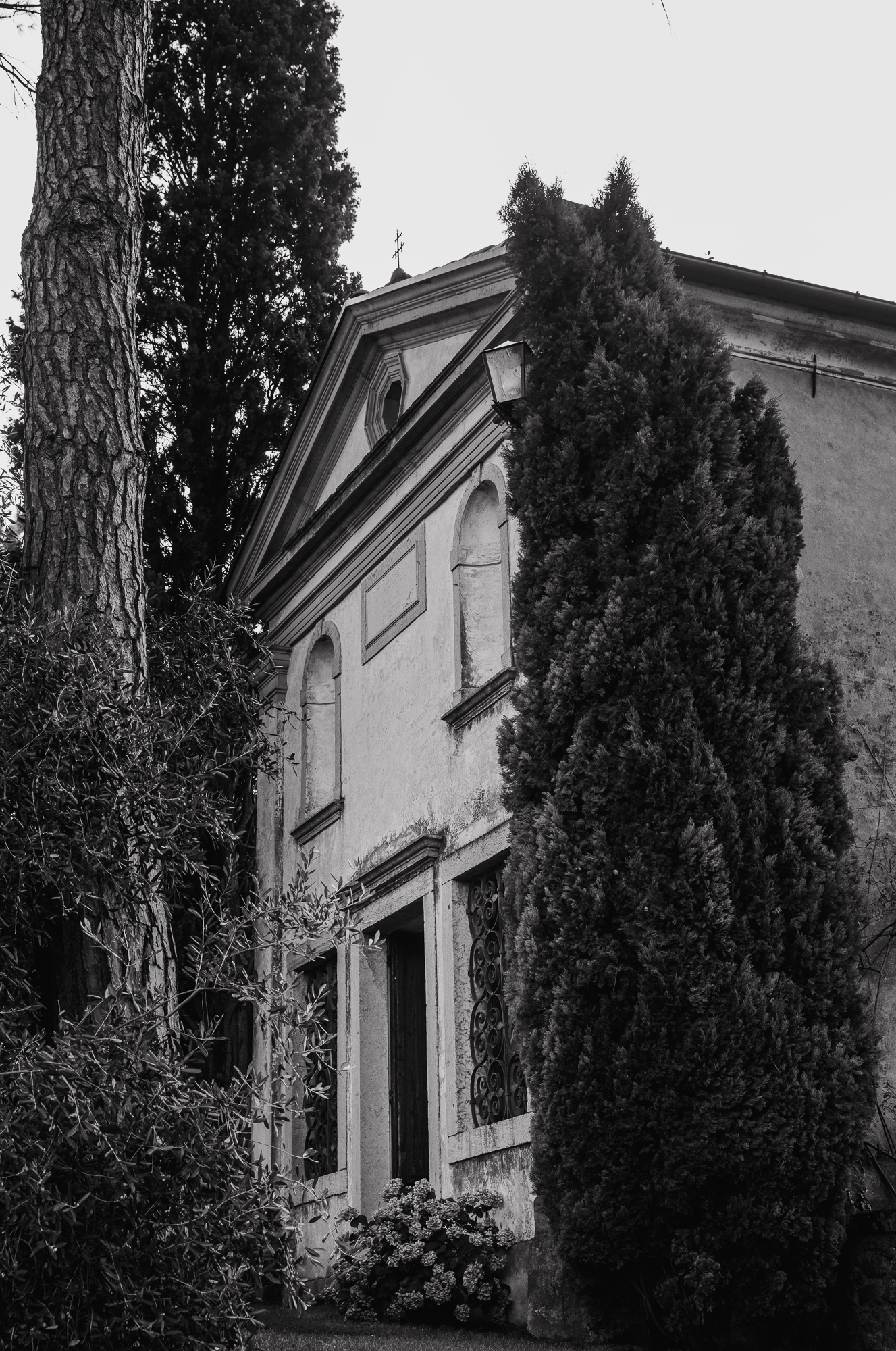 Fotografo di matrimonio Treviso 