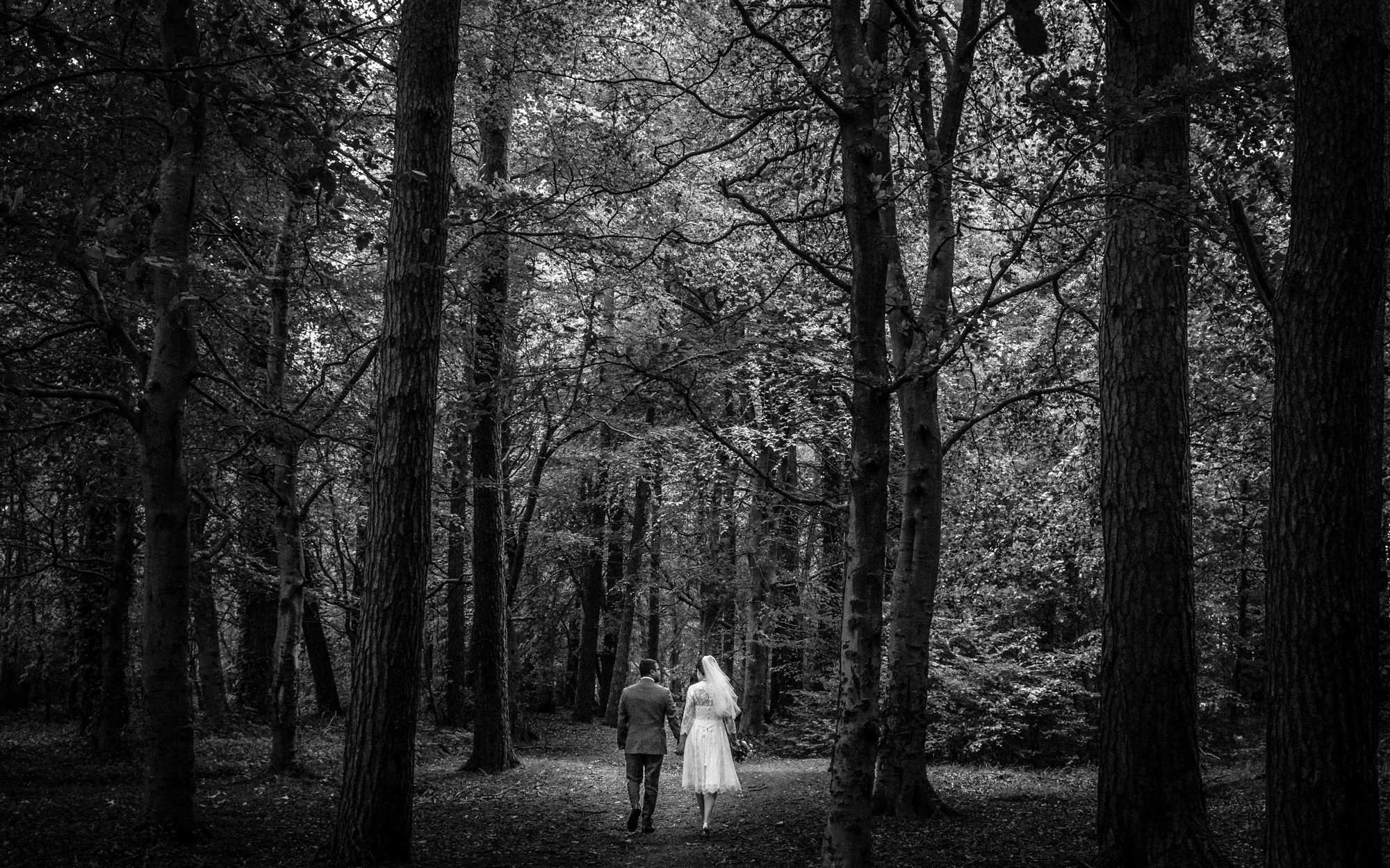 fotografo di matrimonio Treviso