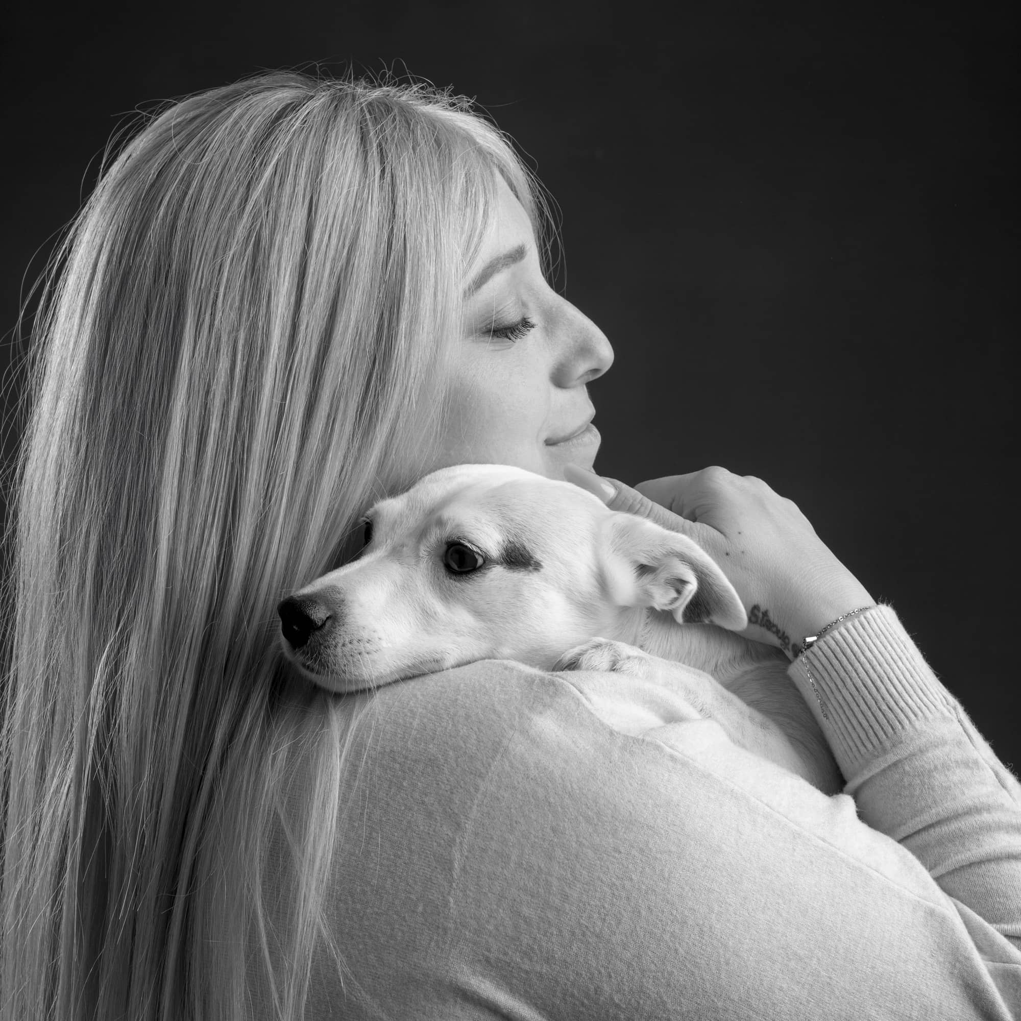 foto cane Treviso studio