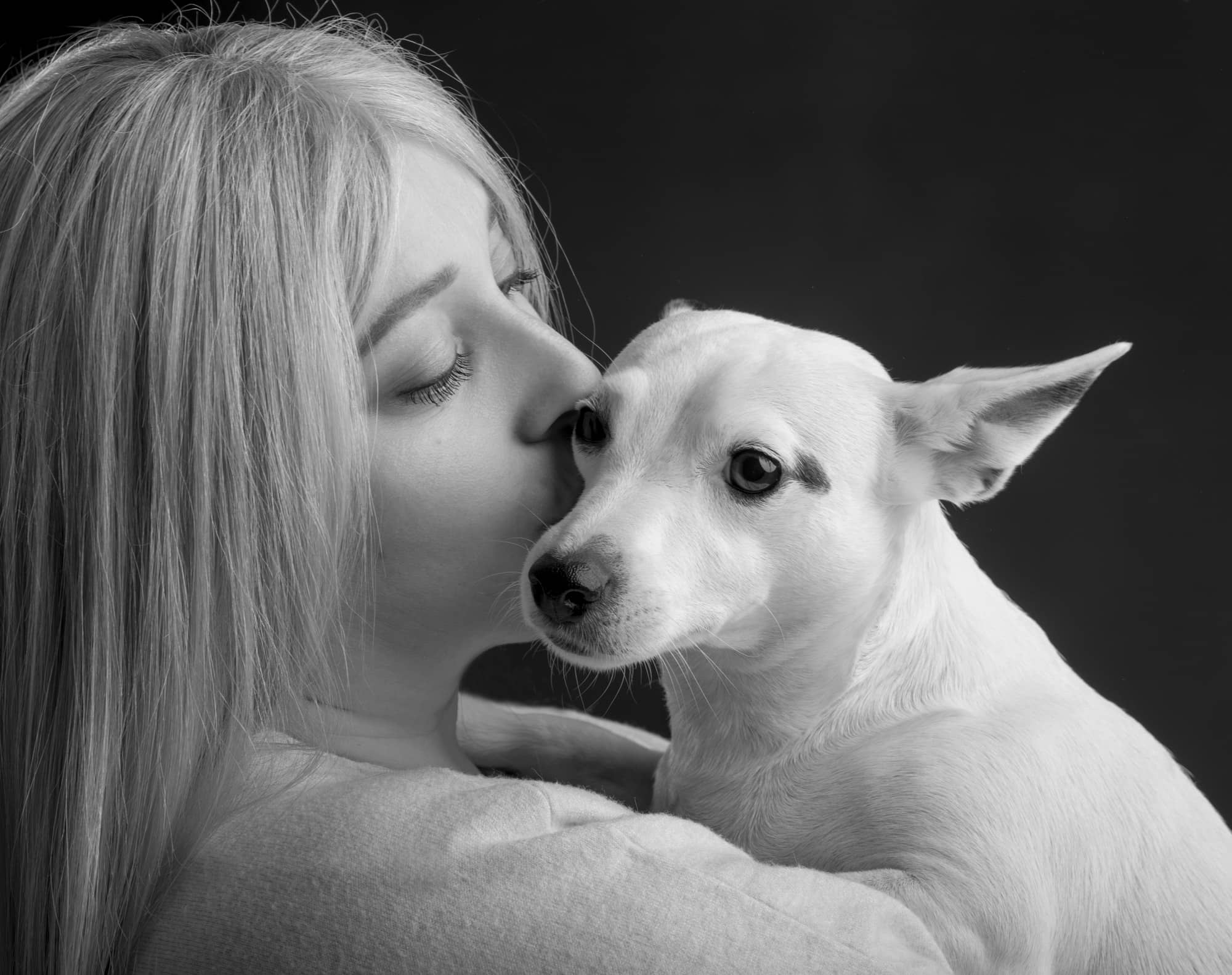 Servizio-fotografico-cani