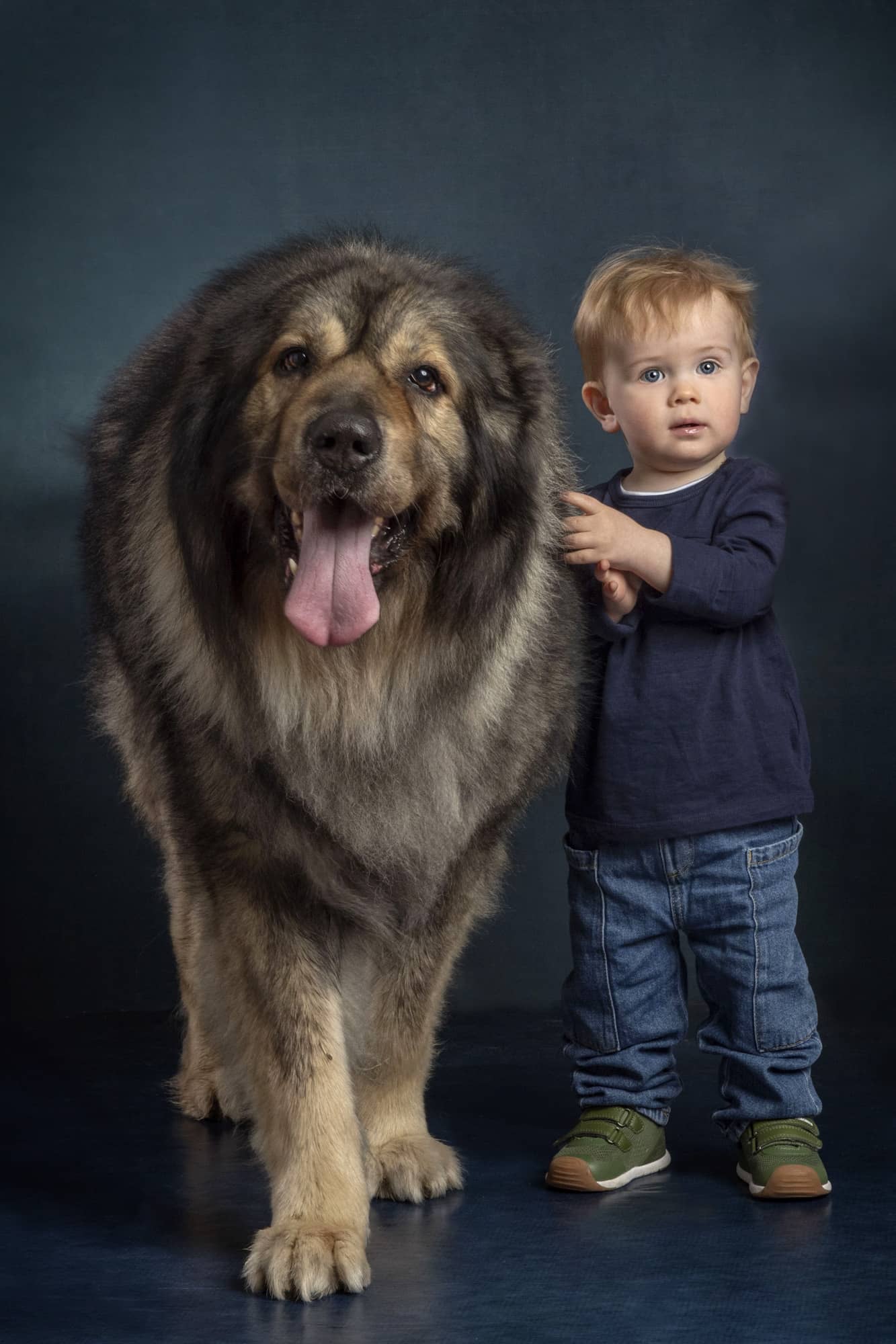 fotografo cani Venezia