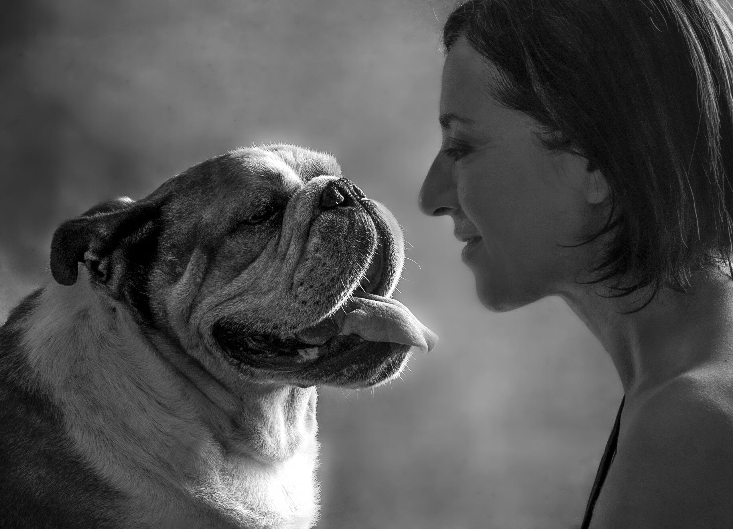 Servizio-fotografico-cani